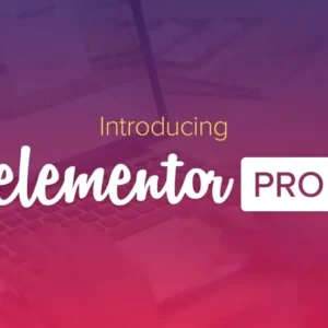Elementor Pro v3.29.0 - The Most Advanced Website Builder Plugin 2025